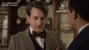 Domybest GIF by All Creatures Great And Small