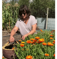 northlore giphyupload GIF