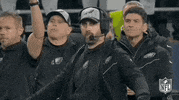 National Football League GIF by NFL