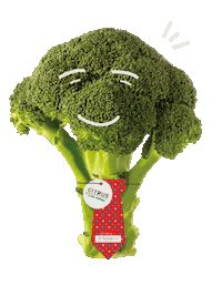 Daddy Day Papa Sticker by Citrus