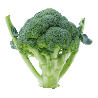 Broccoli Sticker by yasuifarm