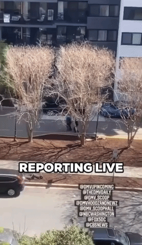 Reporting Live