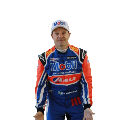 Rubens Barrichello Sticker by Stock Car Brasil