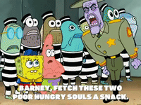 season 5 the inmates of summer GIF by SpongeBob SquarePants