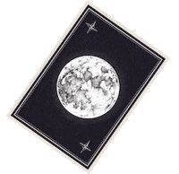 Stars Magic Sticker by Herbivore Botanicals