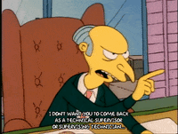 Season 1 Episode 3 GIF by The Simpsons