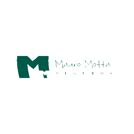 MauroMotta giphygifmaker mm seguros mauromotta Sticker