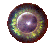 Eye King Sticker by Ashnikko