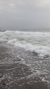 Beachgoers Form Human Chain to Rescue Swimmers on Albanian Coast
