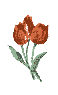 dearsistehood giphyupload happy flower sisterhood Sticker