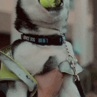 Fun Smile GIF by AwesomenessTV