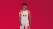 Oh Man No GIF by RB Leipzig
