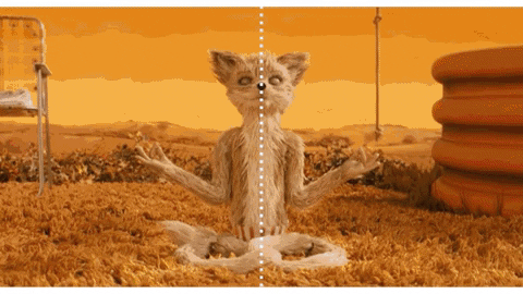 98f2e6eff71e41bba507b8698137c643 giphygifmaker giphyattribution GIF