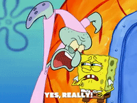 season 6 GIF by SpongeBob SquarePants