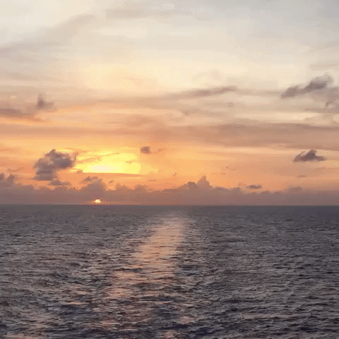 popsocial GIF by Brittlestar