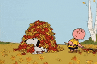 Charlie Brown Halloween GIF by Peanuts