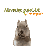AlmereJungle jungle squirel eekhoorn almere jungle Sticker