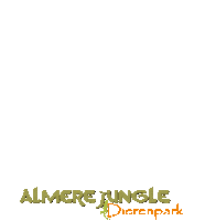 AlmereJungle animals zoo aj dieren Sticker