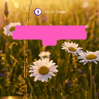 Happy Flower GIF by Learner Circle