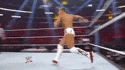 wwe sports wwe wrestling 2011 GIF