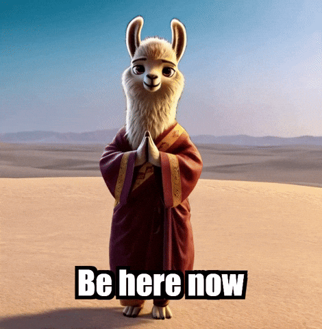 Be Here Now Moment GIF by dalaillamazen