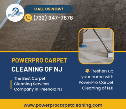 Carpet Cleaning In Freehold Township Nj GIF