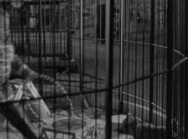 whip it good classic film GIF by Warner Archive