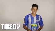 Tired Hertha Berlin GIF by Hertha BSC
