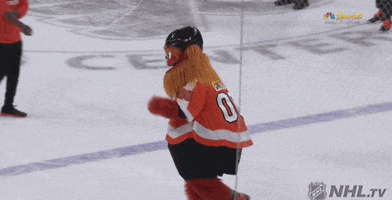 Ice Hockey Oops GIF by NHL