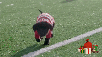 universityofutah dogs puppies university of utah uofu GIF