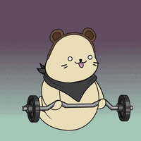 Surprised Work Out GIF by Sappy Seals Community