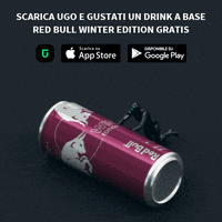 red bull party GIF by UGO