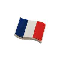 France Football Sticker by Crocs Europe Official Account