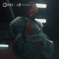 Cats Silk GIF by GREAT PERFORMANCES | PBS