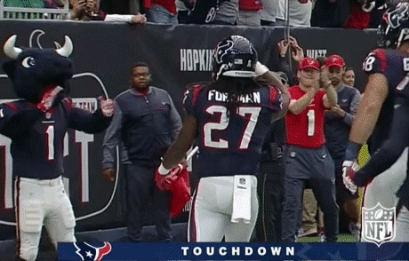 houston texans football GIF by NFL
