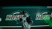 Ndsu Baseball GIF by NDSU Athletics