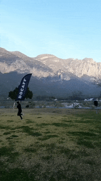 flag running GIF by docaff