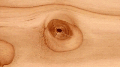Wooden GIF by Digg