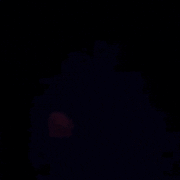 attack of the killer tomatoes horror movies GIF by absurdnoise