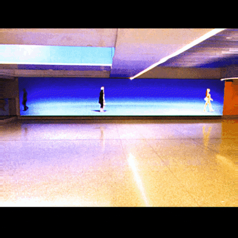 GIF by Ryan Seslow