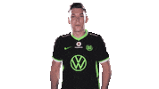 E Sports Sport Sticker by VfL Wolfsburg
