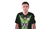 E Sports Sport Sticker by VfL Wolfsburg