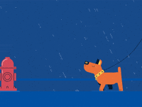Dog Raining GIF by Anchor Point