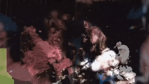 Swae Lee Denial GIF by Rae Sremmurd