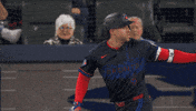 Blue Jays Baseball GIF by Toronto Blue Jays
