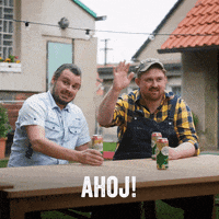 Starobrno_cz beer pivo Brno morava GIF