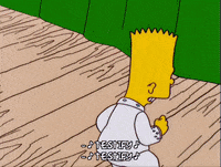 testify bart simpson GIF