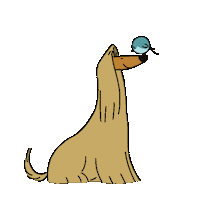 studiogoindol dog hello hi good Sticker