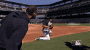 major league baseball sport GIF by MLB