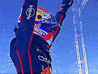 Max Verstappen GIF